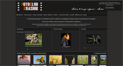Desktop Screenshot of krasnikfotoart.pl